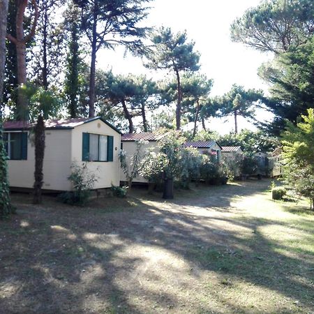 Villaggio Mithos Misano Adriatico Buitenkant foto