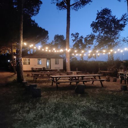 Villaggio Mithos Misano Adriatico Buitenkant foto